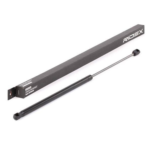 Gas Spring, boot/cargo area
