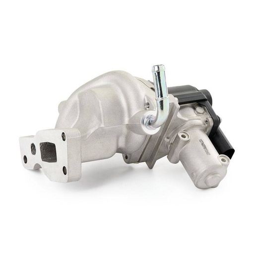 EGR Module