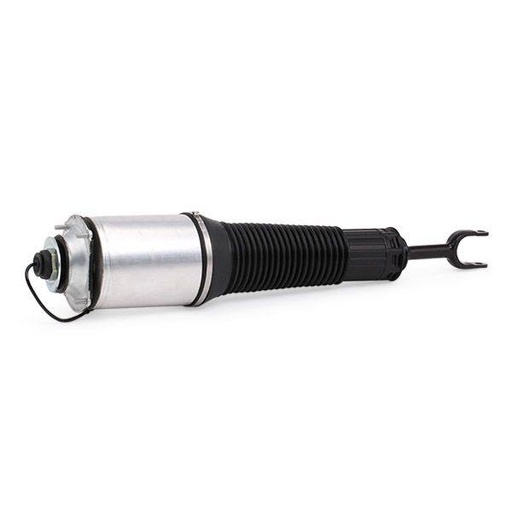 [SUS-MSC-RID-VW-NEW-0003] Air Suspension Strut