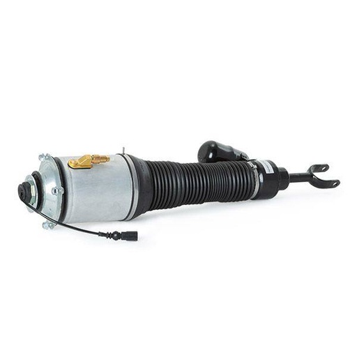 Air Suspension Strut
