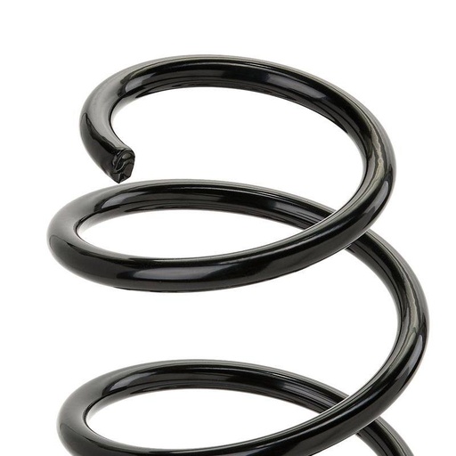 [SUPP-6358-188C0313] Suspension Spring