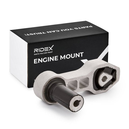 Mounting, engine