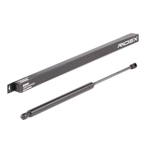 Gas Spring, boot/cargo area
