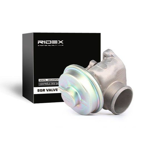 EGR Valve
