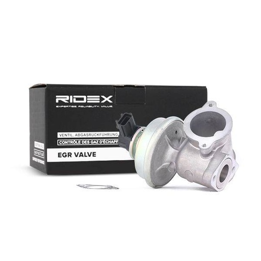 EGR Valve