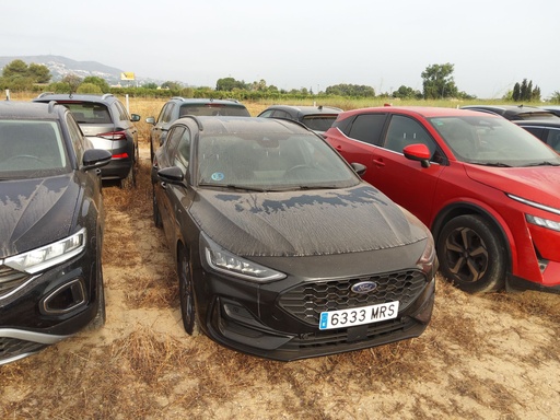 FORD Focus (Year of Construction 2024, 125 PS, Petrol)