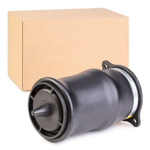 Air Spring, suspension