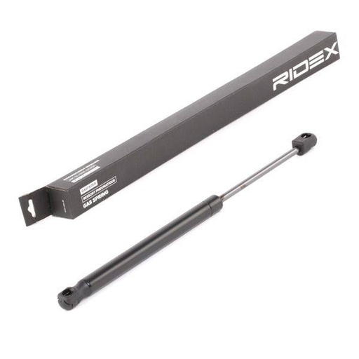 Gas Spring, boot/cargo area