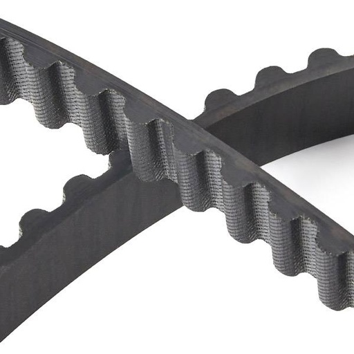 Timing Belt