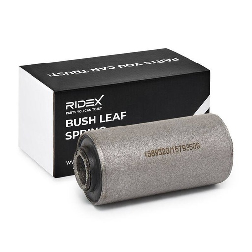 Bushing, leaf spring