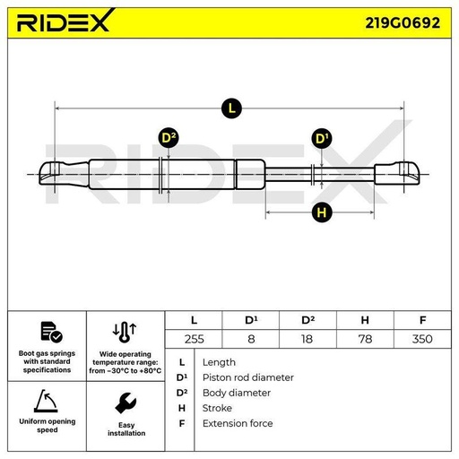 Gas Spring, boot/cargo area