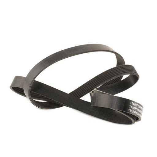 V-ribbed Belt