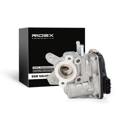 EGR Valve