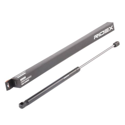 Gas Spring, boot/cargo area
