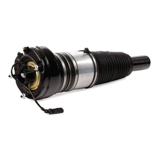 Air Suspension Strut