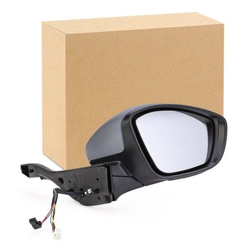 Exterior Mirror