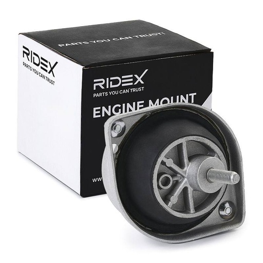 Mounting, engine