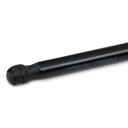 Gas Spring, bonnet