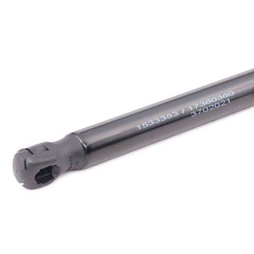 Gas Spring, boot/cargo area