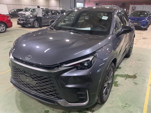 LEXUS LBX 1490.0 cc (2025)
