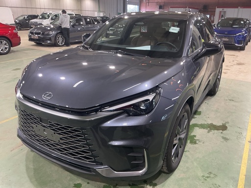 LEXUS LBX 1490.0 cc (2025)