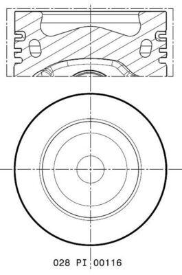 [SUPP-287-028PI00116002] Piston